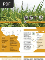 Download AfricaRice Annual Report 2005-2006 by Africa Rice Center SN49703111 doc pdf