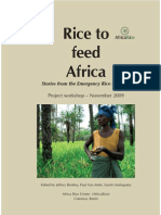 Rice to feed Africa