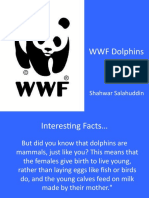 WWF Dolphins: Shahwar Salahuddin