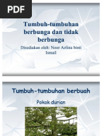 Tumbuh-Tumbuhan Berbunga Dan Tidak Berbunga