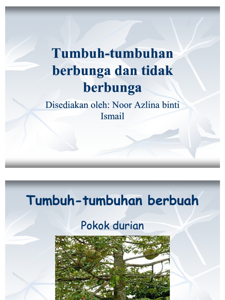Tumbuh Tumbuhan  Berbunga  Dan Tidak  Berbunga 