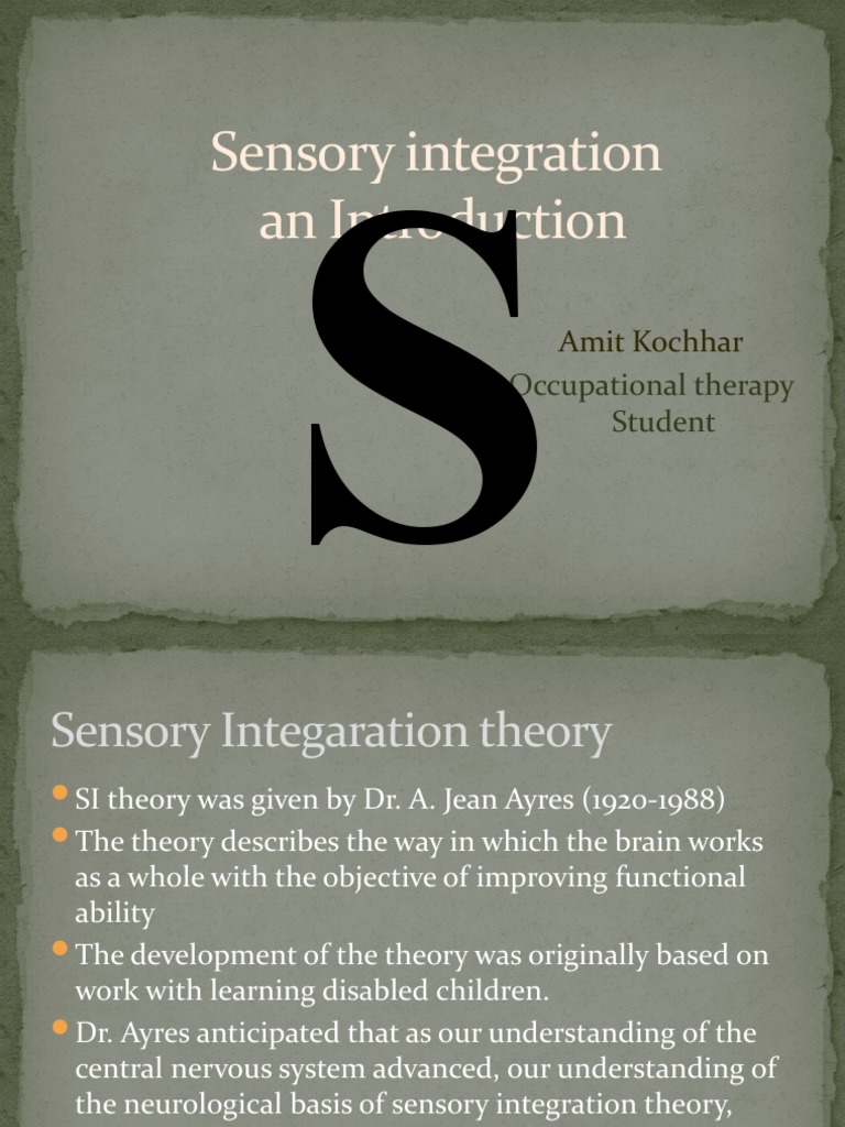 Understanding Sensory Integration Therapy | PDF | Sensory Processing ...