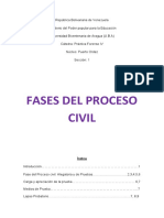 Fases Del Proceso Civil