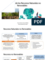 2020.12.18 Economía de Los Recursos No Renovables