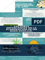 Infografia