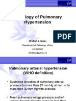 Pathology of Pulmonary Hypertension: Wolter J. Mooi