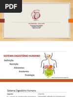 Sistema Digestorio Humano - 8o - Ana Gardenia 0