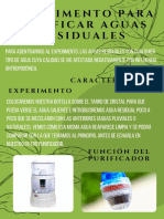 Experimento para Purificar Aguas Residuales