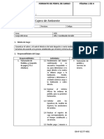 Perfil de Cargo Cajero Ambiente