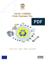 CABRISS Public Business Plan