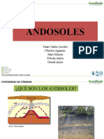 Andisoles: Suelos volcánicos