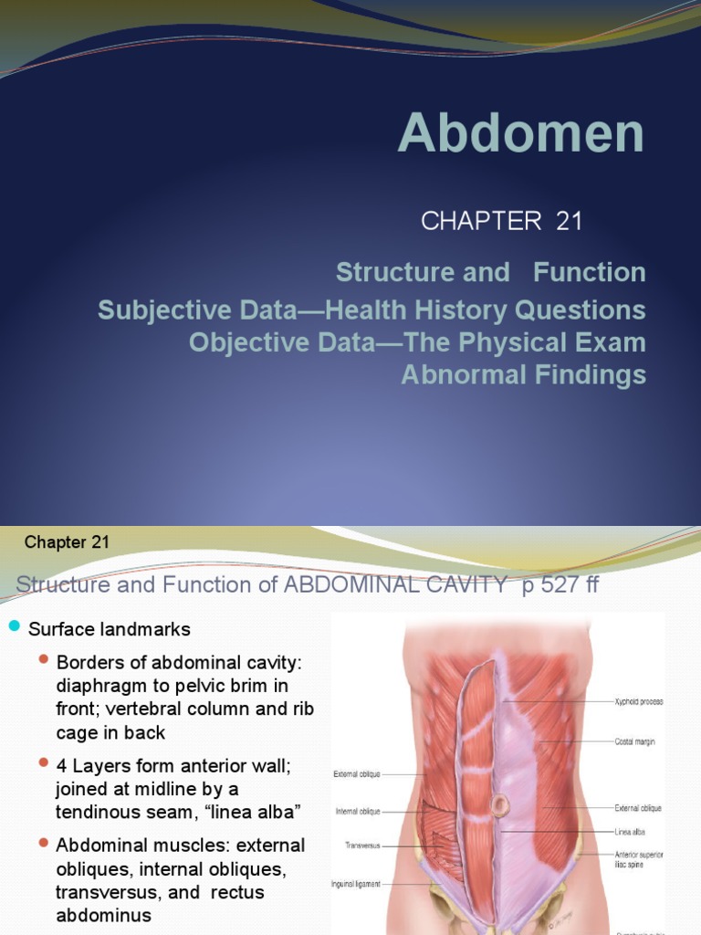Abdominal Examination and Anatomy Guide | PDF | Abdomen | Gastroenterology