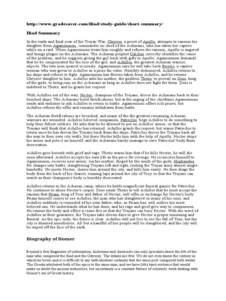 Homer S Iliad Short Summary