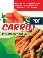 Carrot Prod Guide