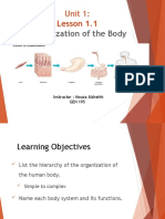 Body Systems Overview