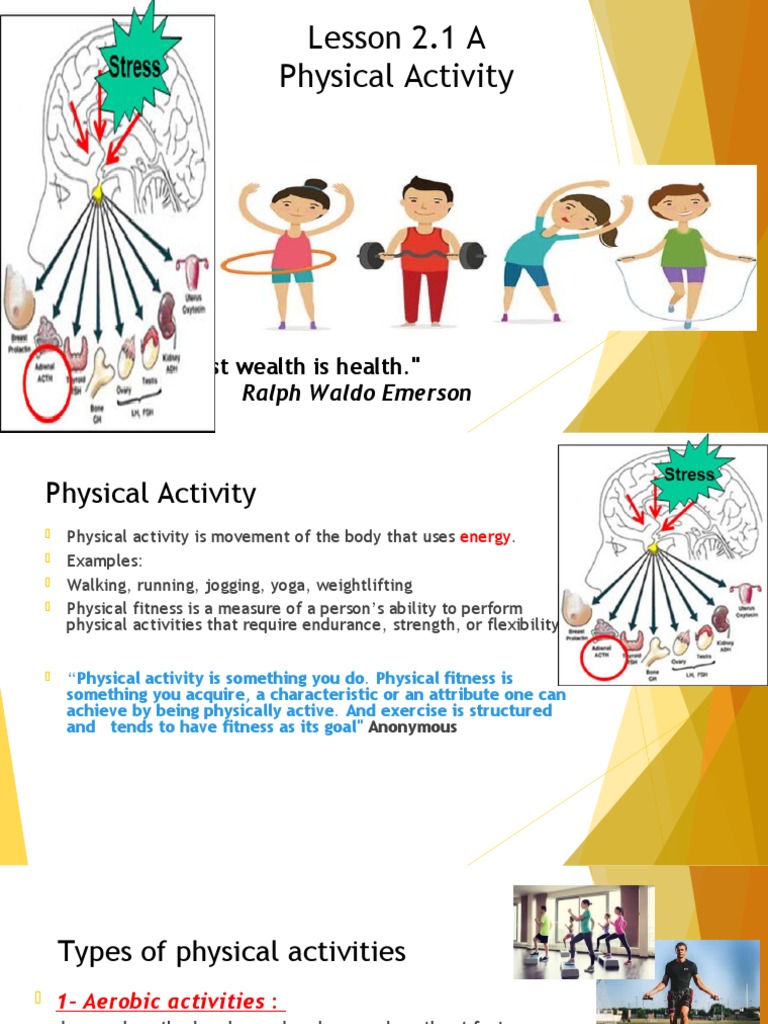 Lesson 2.1 A - Physical Activity | PDF | Weight Training | Physical Fitness