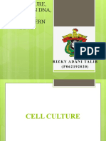 Cell Culture, Recombinan, RT-PCR Dan WB
