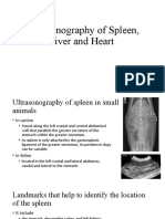 Ultrasound and Its Uses