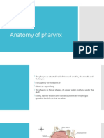 Lec 1, Anatomy of Pharynx
