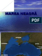 0_0mareaneagra (1)