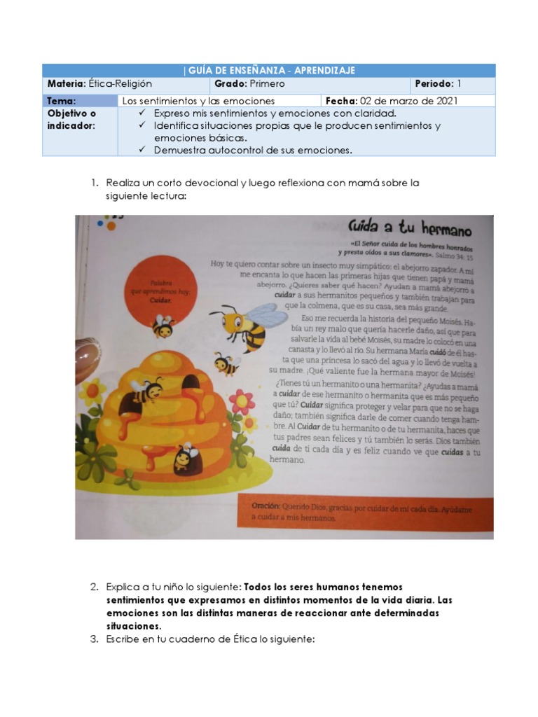 Emociones y sentimientos en primer grado | PDF | Las emociones ...
