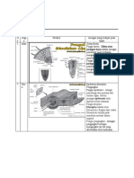 Struktur Tumbuhan IPA