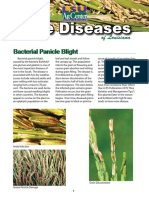 Pub 3084 Rice Disease Slow Res
