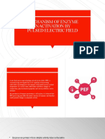 Mechanism of Enzyme Inactivation by Pulsed Electric Field