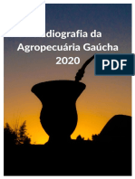 Radiografia Da Agropecuária Gaúcha 2020