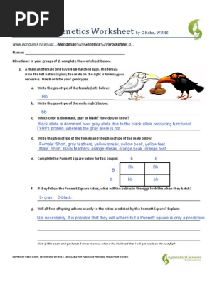 Mendelian Genetics Worksheet | PDF | Genotype | Dominance (Genetics)