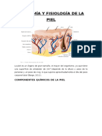 Anatomia-y-Fisiologia-de-La-Piel