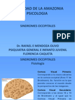 CLASE 2.3 Neuroanatomia-Sindrome Occipitales