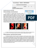 1° MEDIO GUIA N°4 BIOLOGIA - BIODIVERSIDAD