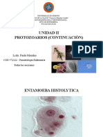 UNIDAD II PROTOZOARIOS 2DA Parte