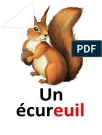 Ouil Euil