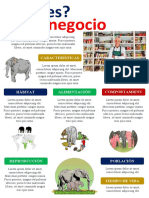 Infografia Empresarial