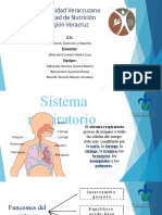 Adaptaciones Respiratorias Durante El Ejercicio