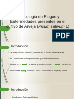 Bioecologia de Plagas y Enfermeddes Presentes en El