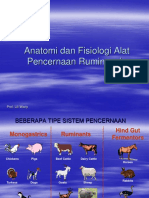 Anatomi Dan Fisiologi Alat Pencernaan