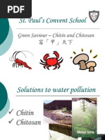 Download Green Saviour - Chitin and Chitosan by Sarah Sobhi SN49729324 doc pdf