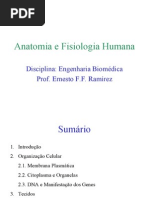 fisiologia_resumo
