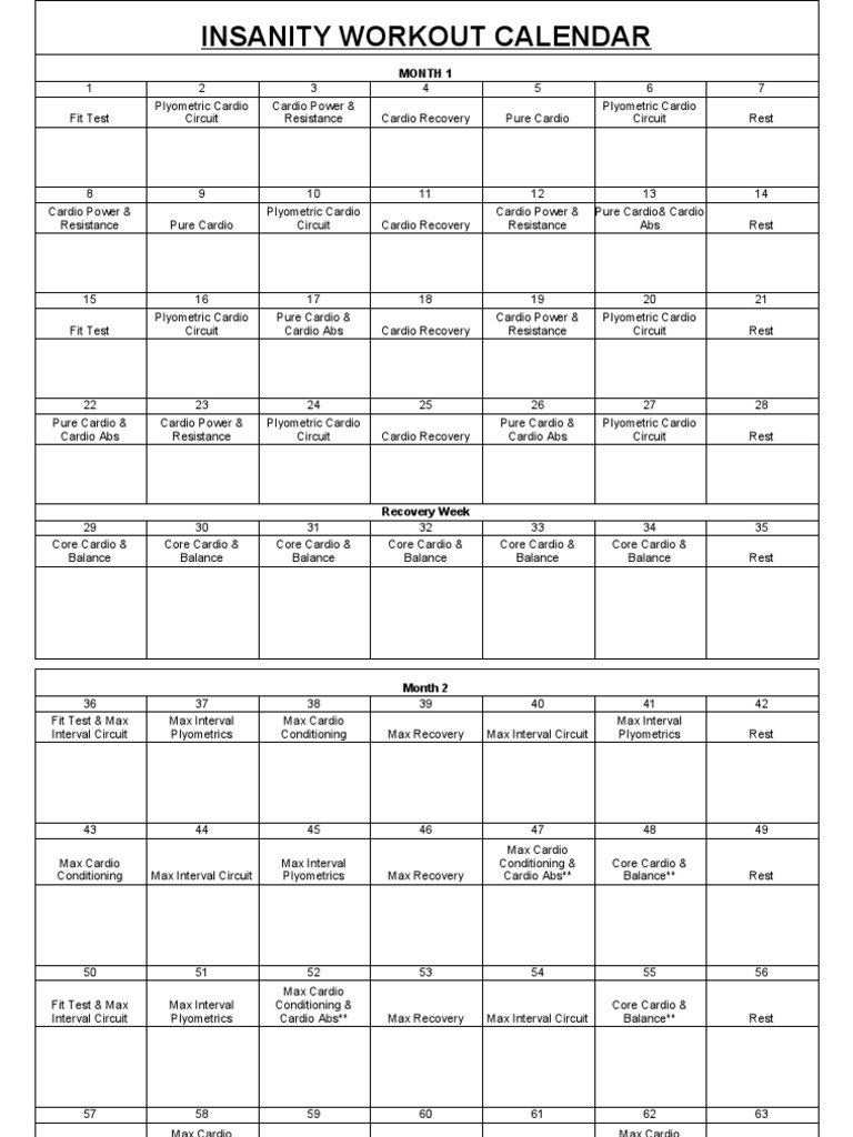 Insanity Workout Guide PDF Physical Exercise Individual Sports