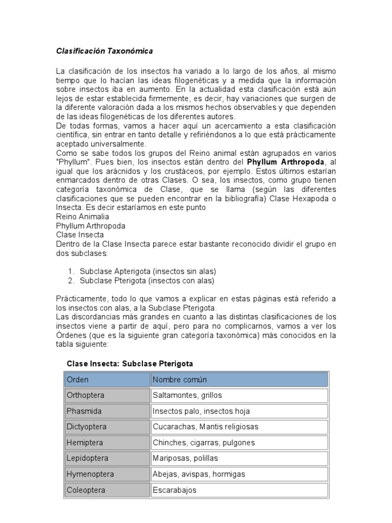 Entomologia - Clasificación taxonómica de los insectos (C)