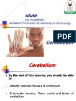 YU - CNS - Cerebellum