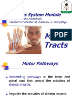 YU - CNS - Motor Tracts