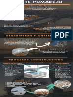 Infografia Puente Pumarejo