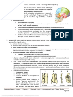 Osteologia do Crânio: Estrutura e Divisão