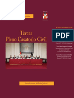 III+Pleno+Casatorio+Civil