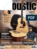 Guitaracoustic 01 20
