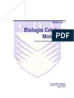 Modulo Completo de Bcmdoc